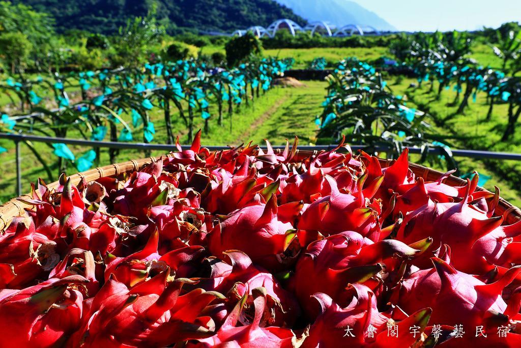 Hualien Taroko Yu'S Homestay B&B Xincheng Township Exterior foto