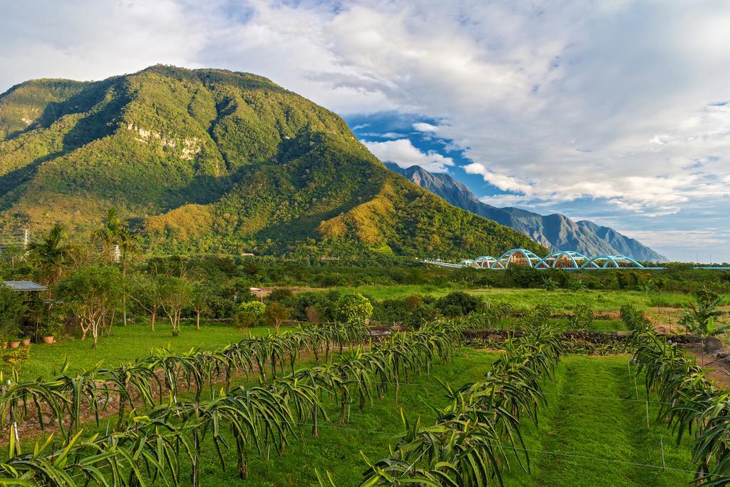 Hualien Taroko Yu'S Homestay B&B Xincheng Township Exterior foto